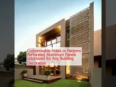 Настраиваемые отверстия или узоры Перфорированные алюминиевые панели, адаптированные для любого декорации здания